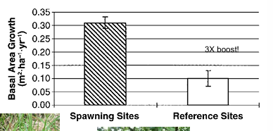 <p>Evidence of MDN’s in West Coast? </p>