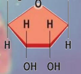 <p>what is this</p>