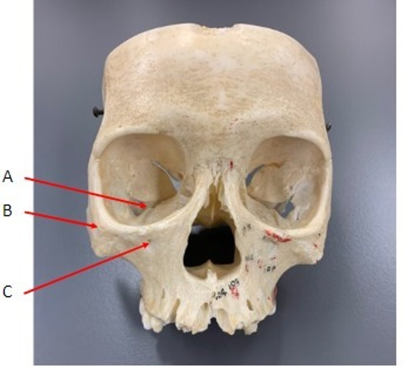 <p>Identify</p>