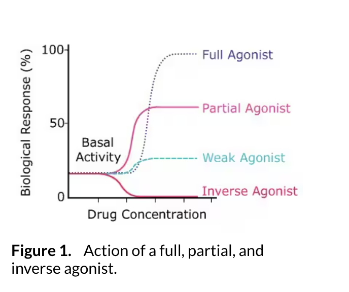 <p>binds to a receptor and turns on a specific cellular response</p><p>mimics an endogenous ligand</p><p>Instructs receptor to produce maximal response</p><p>different drugs may produce same clinical effect, but each may require a diff dose to do so (difference in potency)</p><p>Continuous adminsitration of an agonist may cause down-regulaton of the target receptors</p><p>Ex. Levo, dopamine, propofol, alfentanil</p>