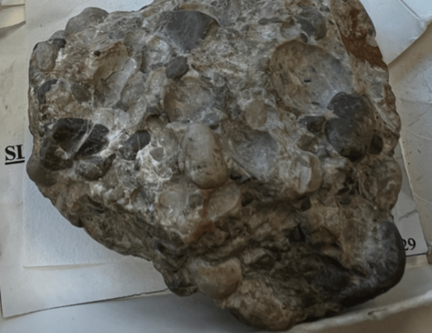 <p>sedimentary</p>