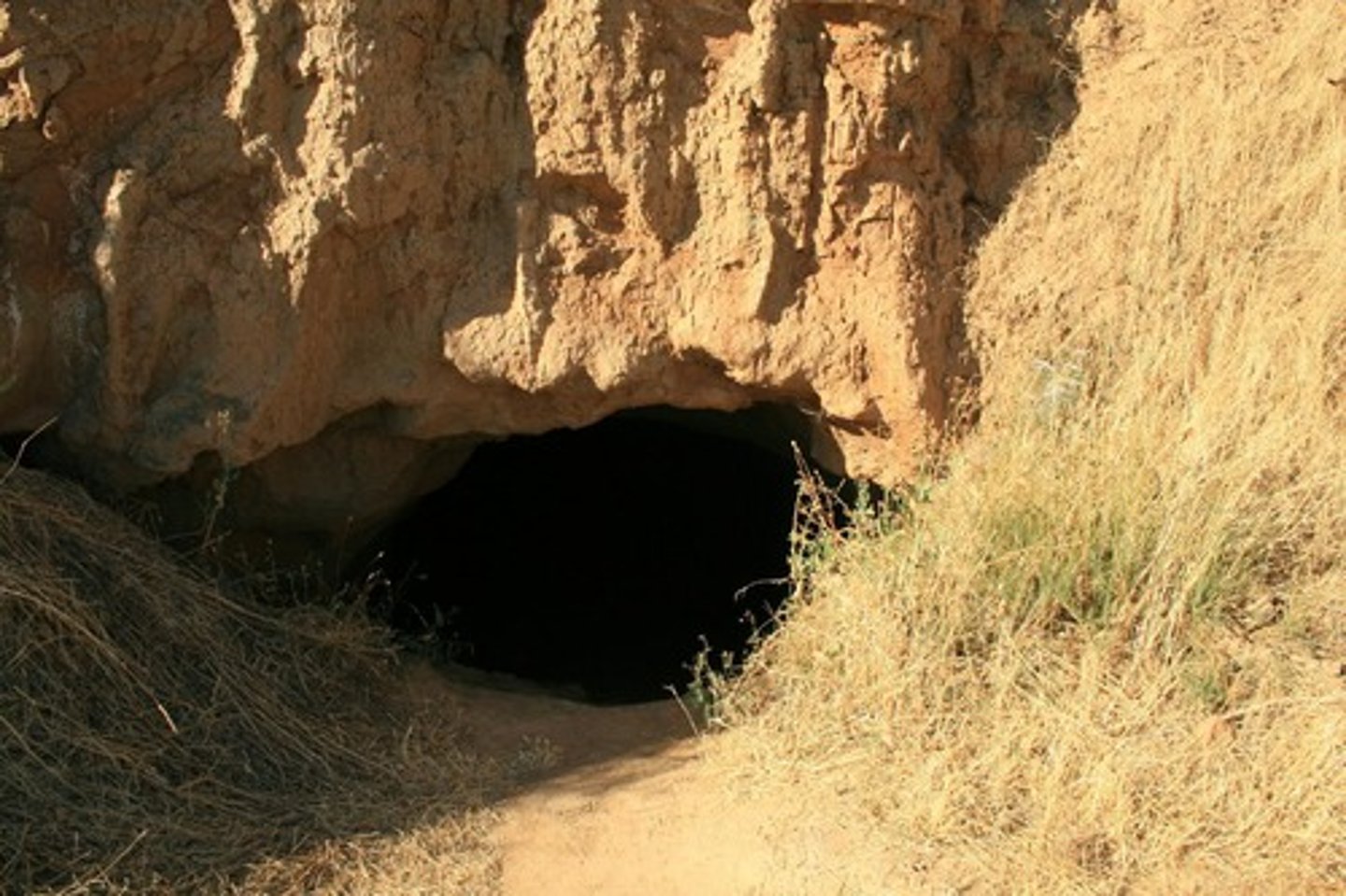 <p>cave</p>