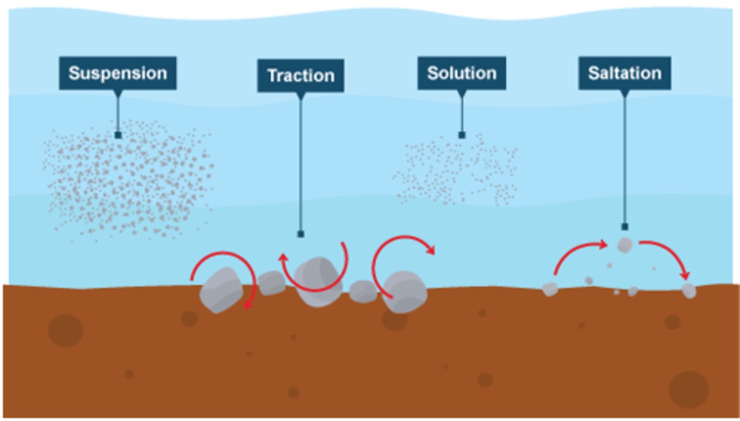 <p>Small particles of material carried along by the water</p>