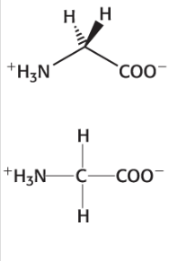 <p>Is the simplest amino acid. </p>