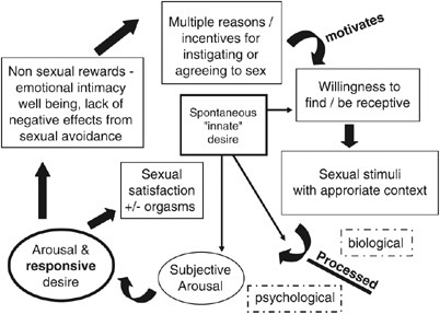 <ul><li><p>desire for women is very complex</p></li><li><p>includes “spontaneous innate desire” (Freudian)</p></li></ul><p></p>