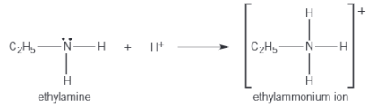 <p>Amines behave as bases, in their chemical reactions, as the lone pair of electrons on the <strong>N</strong> atom can accept a proton.</p><p></p><p>When an amine accepts a proton, a dative covalent bond is formed between the lone pair on the <strong>N</strong> atom and the proton.</p>