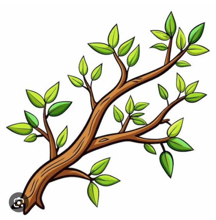 <ol start="5"><li><p><span style="font-family: &quot;Times New Roman&quot;, serif">Branch /bræntʃ/ (n)</span></p></li></ol><p></p>