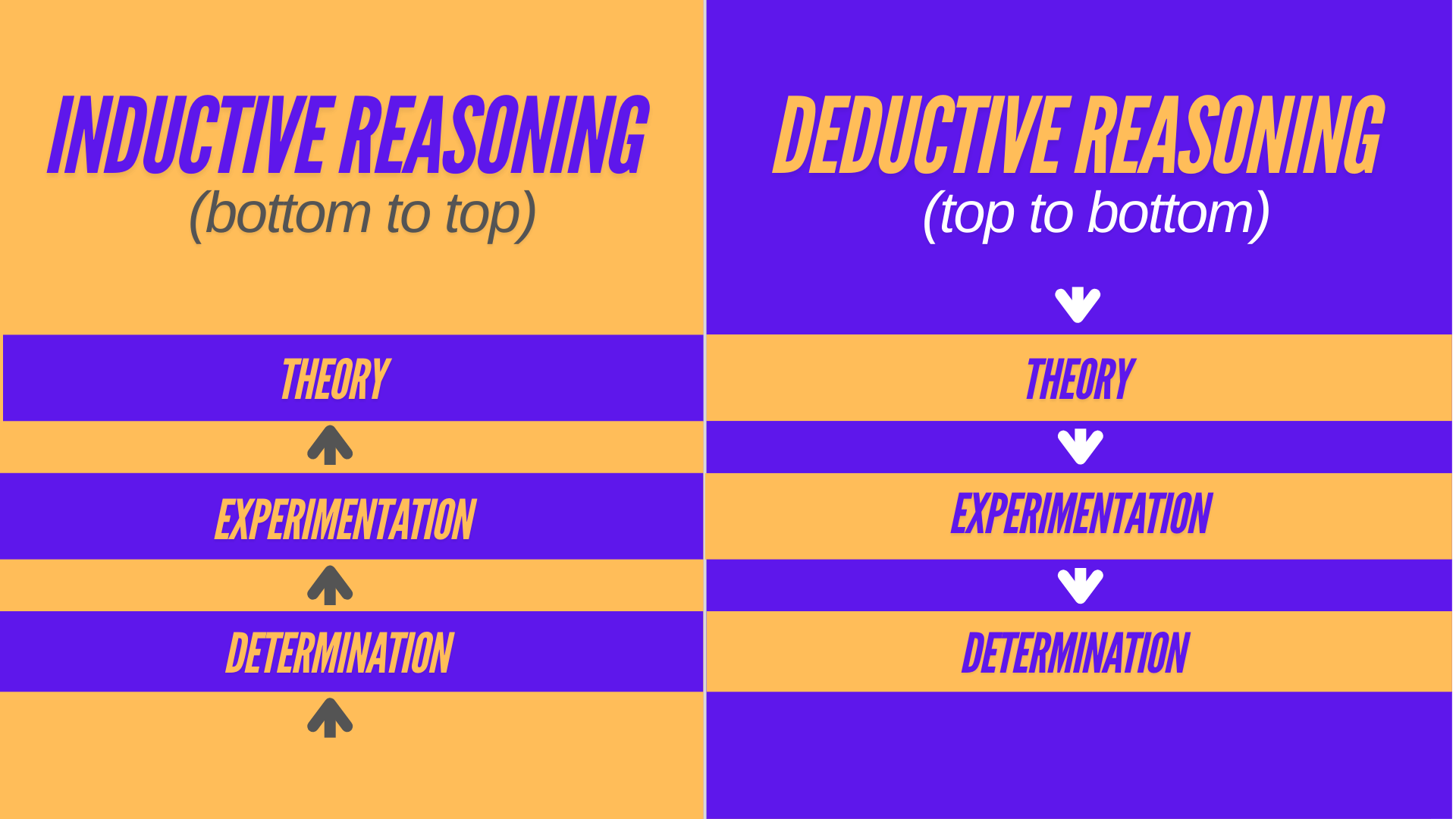<p>Inductive reasoning involves drawing general conclusions from specific observations or data. (hypothesis, experimentation, theory) Deductive reasoning involves applying general principles or theories to specific cases to predict outcomes or make conclusions (theory, experimentation, specific hypothesis)</p>