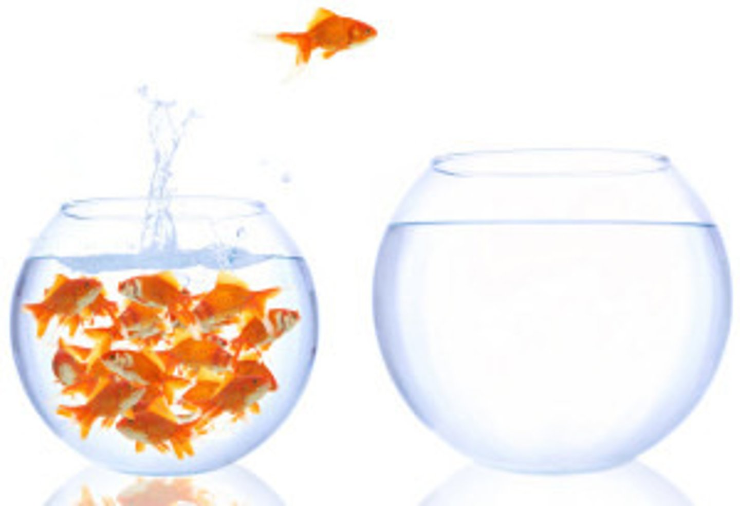 <p>moving outside borders</p>