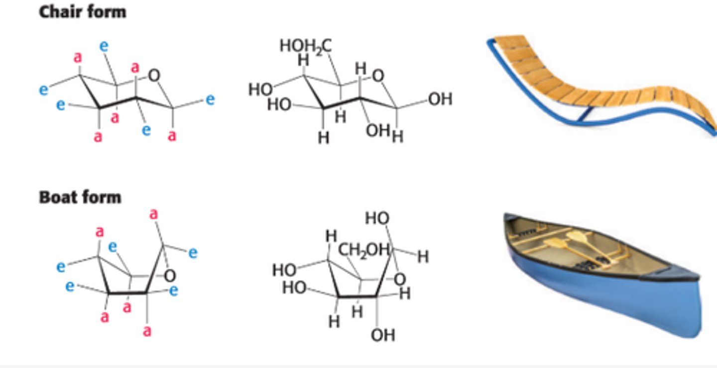 <p>H atoms occupy the axial positions, resulting in less steric hindrance unless in the boat form. The bulkier groups like OH & CH2OH emerges at less hindered perihery.</p>