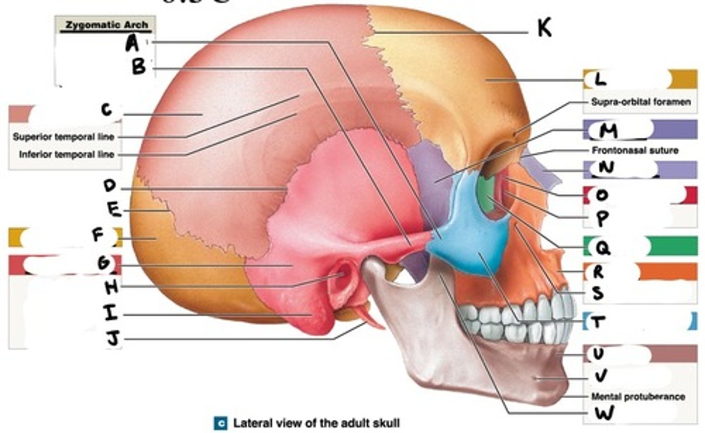 <p>What is A</p>
