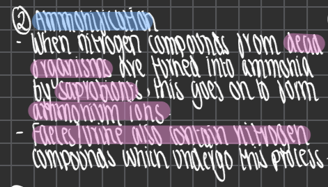 knowt flashcard image