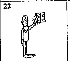 term image
