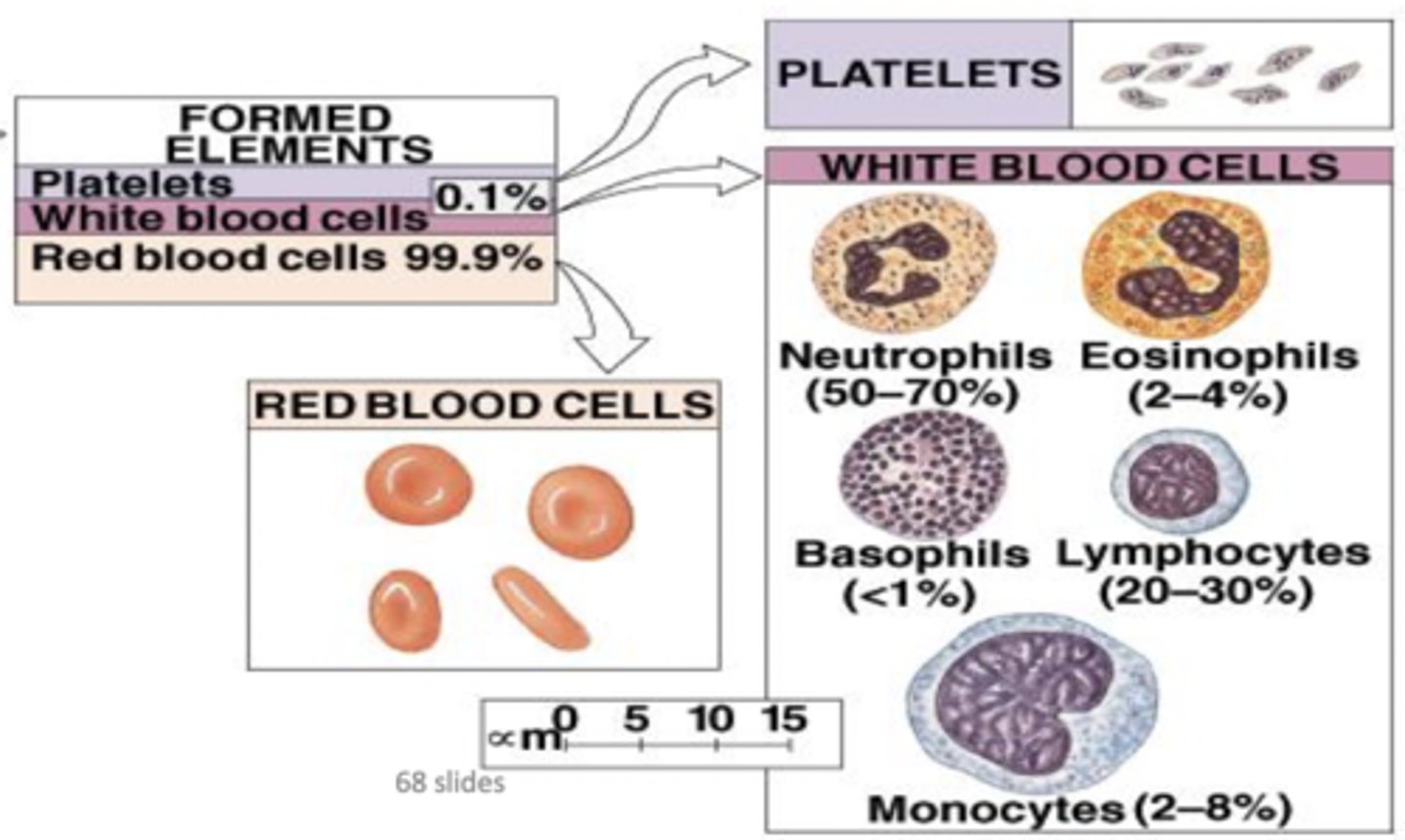 <p>Erythrocytes, leukocytes, thrombocytes (45% of blood)</p>