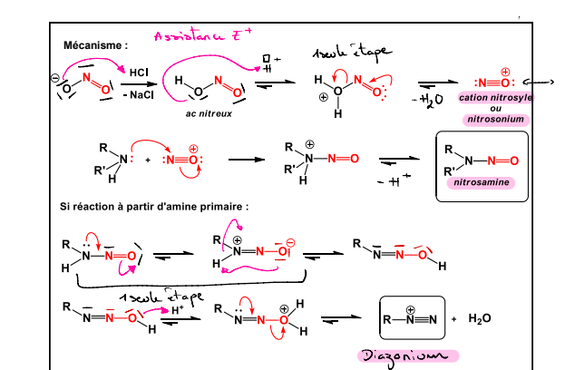 <ul><li><p>en presence de NaNO2 et en milieu acide</p></li><li><p>formation d’un cation nytrosyle qui reagira avec l’amine : </p><ul><li><p>Le O<sup>-</sup>de NO2- se lie avec un H+ puis un autre </p></li><li><p>H20+ se détache ne laissant que N triplement lié à O</p></li></ul></li><li><p>Si amine II =&gt; Nitrosamine </p></li><li><p>Si amine I =&gt; Diazonium</p></li></ul><p></p>