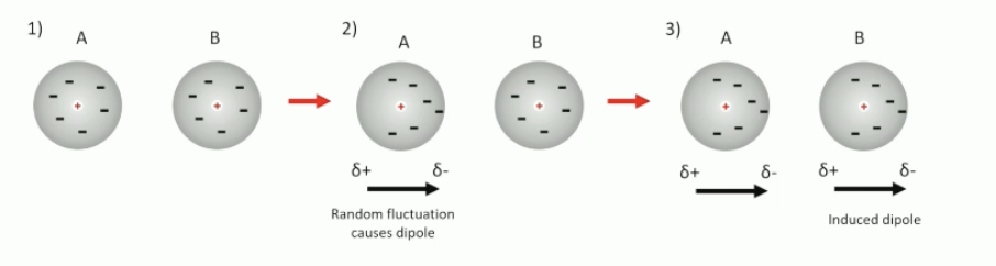 <p>large differences in electronegativity which result in permanent dipoles</p><ul><li><p>weaker than H bonding</p></li><li><p>can induce dipoles in neighbouring molecules </p></li></ul><p></p>
