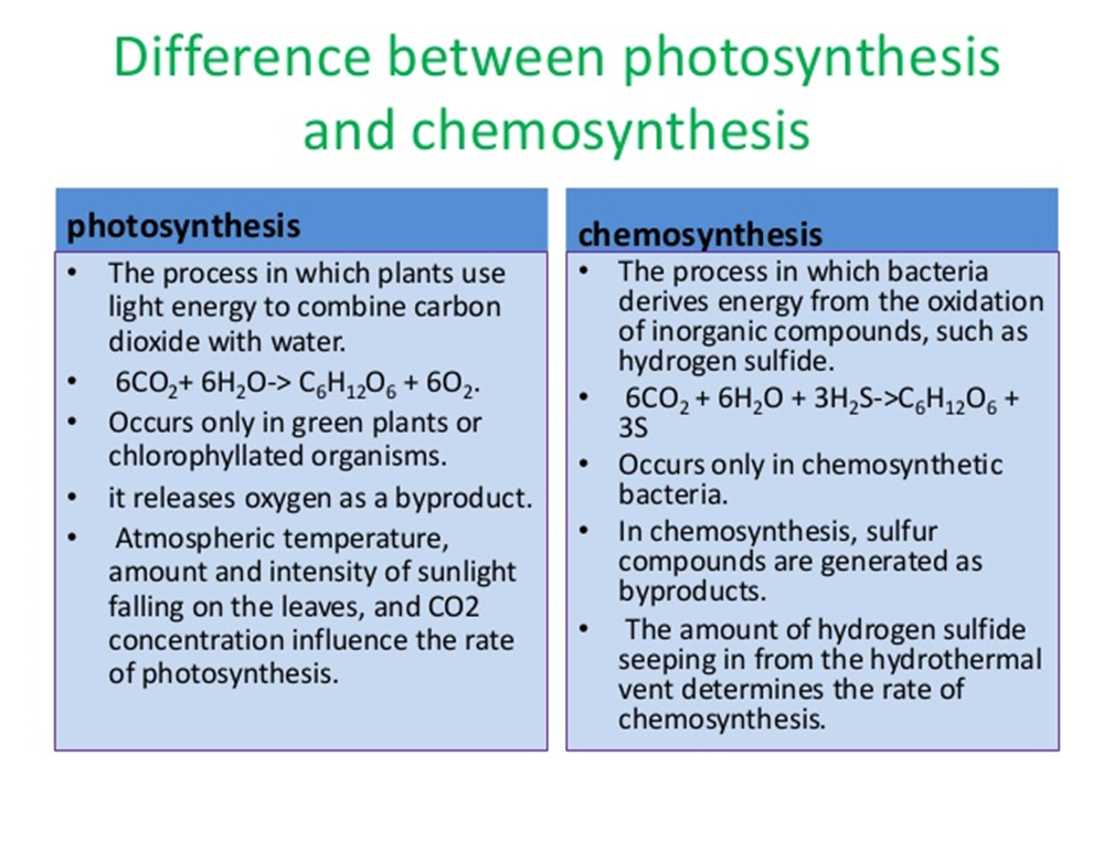 <p>the process in which <strong>bacteria </strong>derives energy form the oxidation of inorganic compounds, such as hydrogen sulfide.</p>