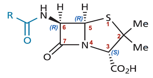 <p>B-lactam with 5 membered thiazolidine </p>