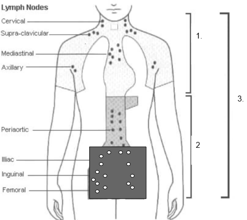 <ol><li><p>What field is #2</p></li><li><p>What is it used for</p></li></ol><p></p>