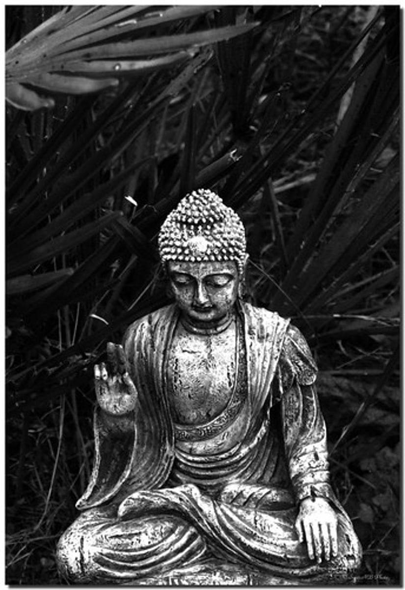 <p>According to Buddha, four principles for living that lead to nirvana/ peace</p>