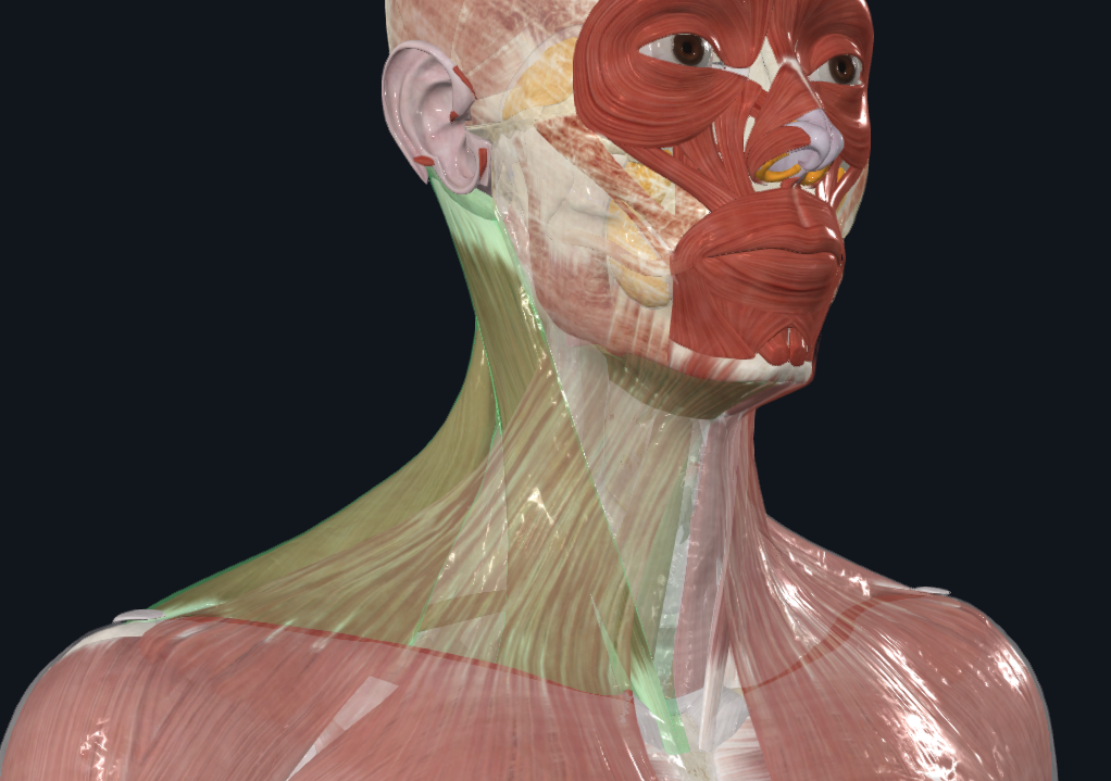 <p>What is highlighted</p>