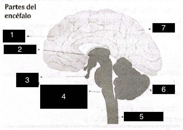 <p>4</p>