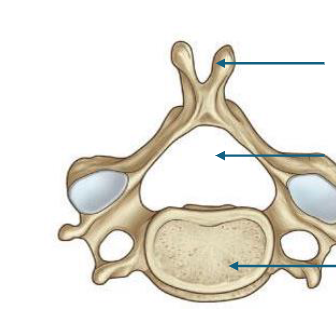 <p>top to bottom </p>