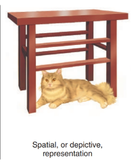 <p><strong>“The cat is under the table is an example of what?”</strong></p>