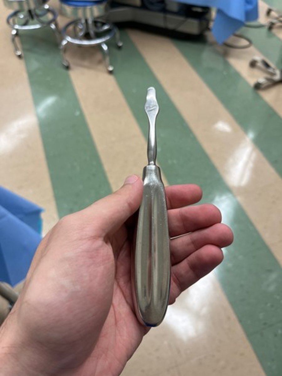 <p>Retracting tissue away from bone, fans out at tip</p>