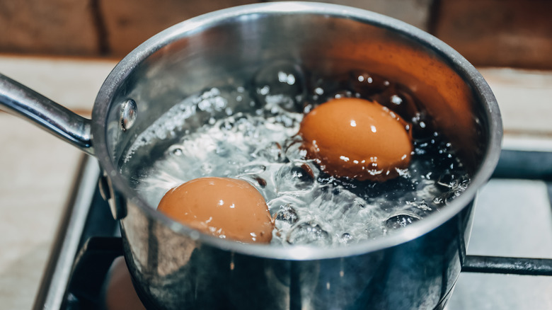 <p>to boil</p>