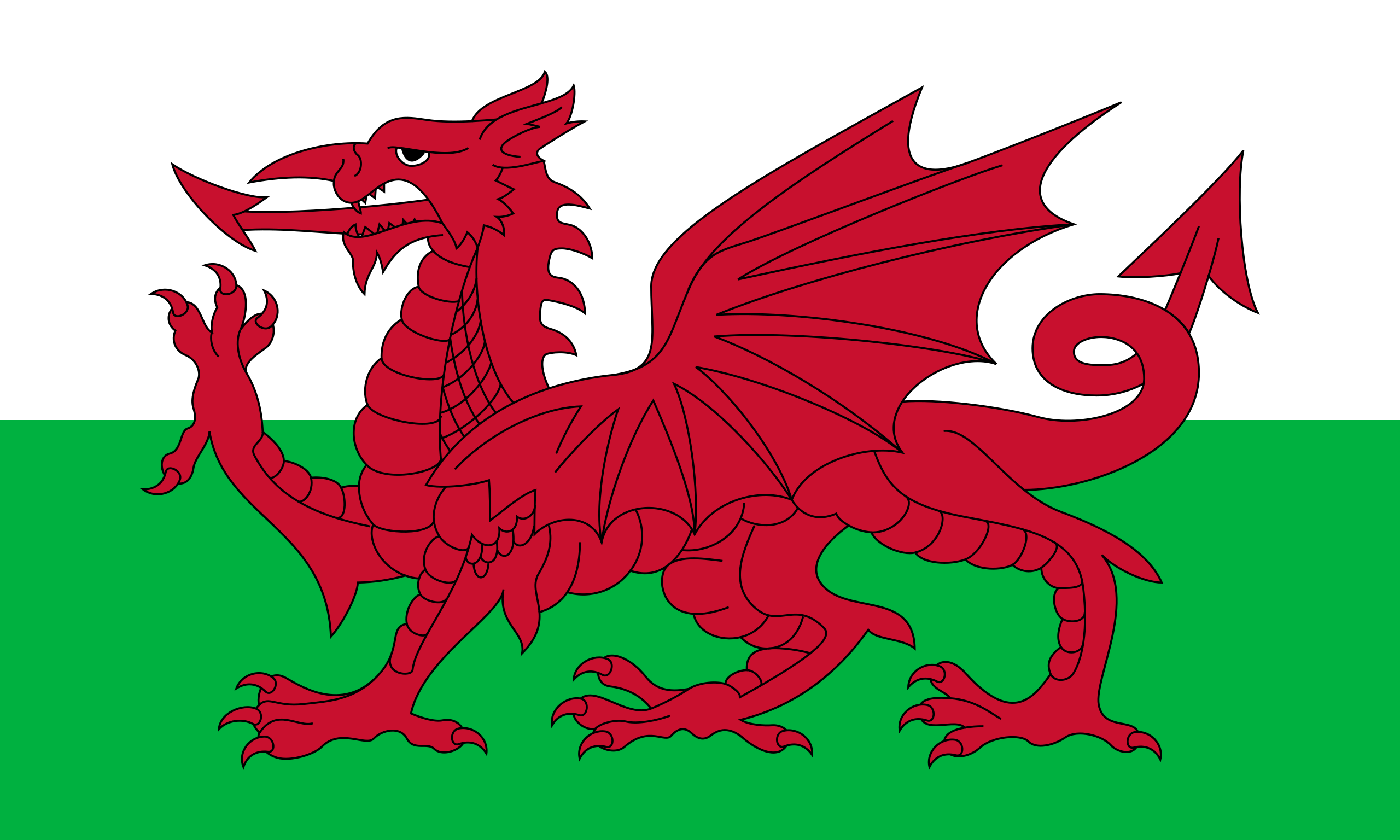<p>Country: <strong>Wales.</strong><br>Demonym: <strong>Welsh.</strong></p>