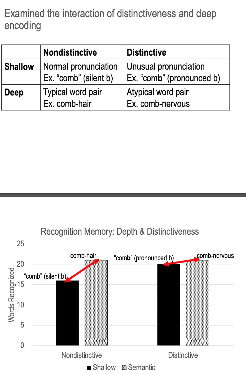 <p>examined the interaction of distinctiveness and deep encoding</p><ul><li><p>look at the chart and the graph, shows how more words are recognized from semantic memory and less in shallow</p></li></ul>