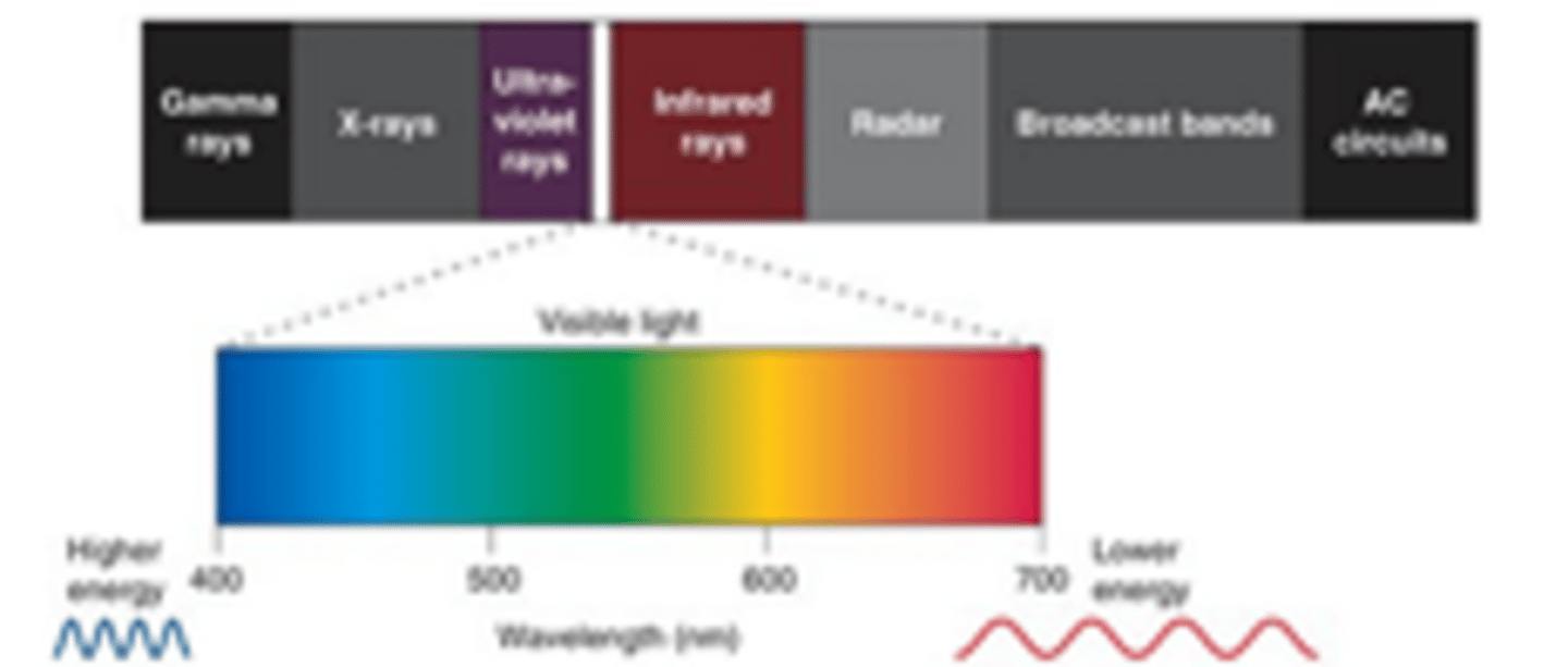 <p>Light is ___________________ radiation that is ________</p>