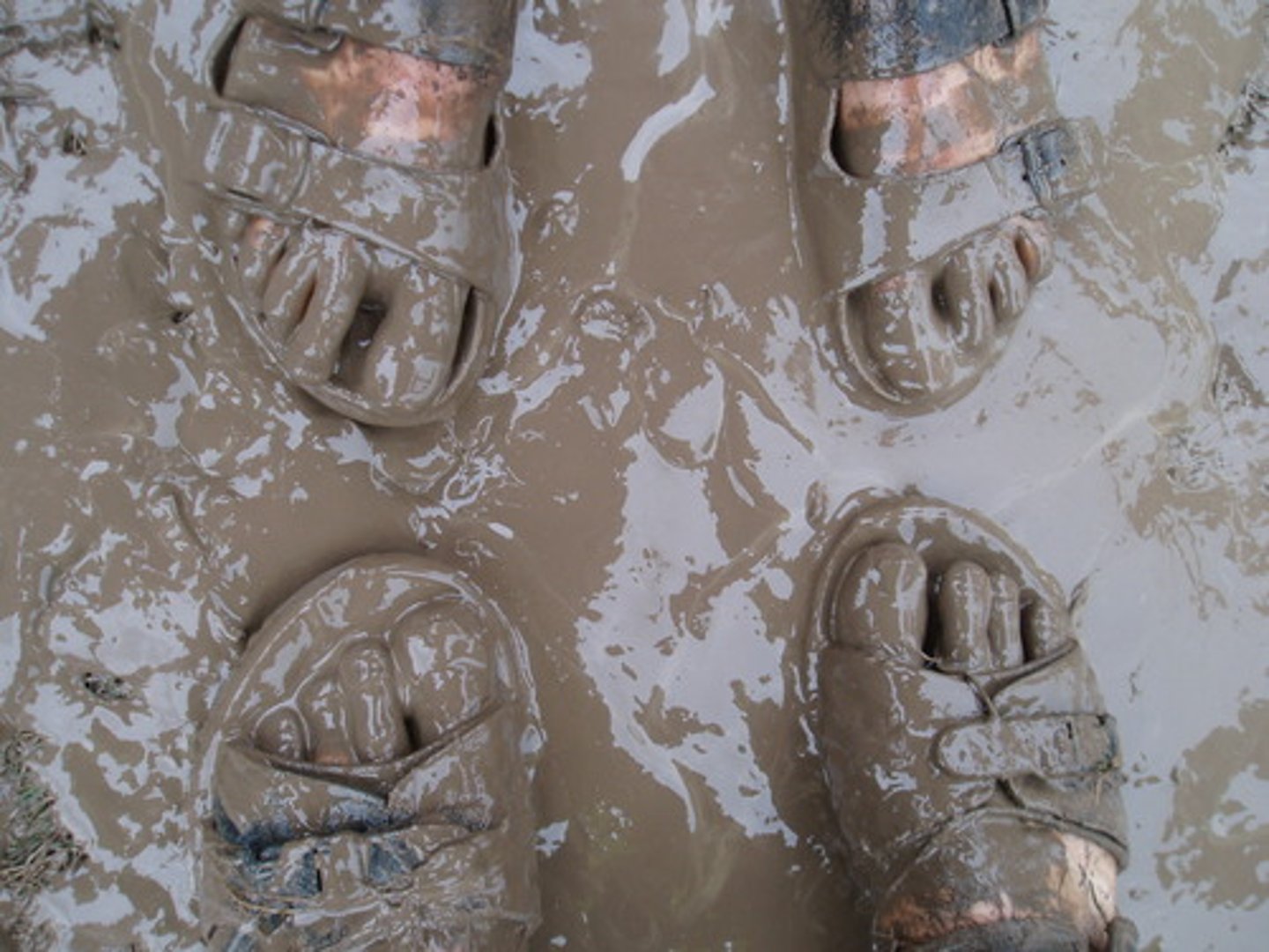 <p>mud</p>