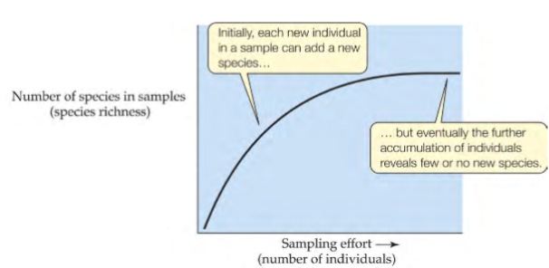 <p>spp richness plotted as a function of total # of individuals counted</p><p>help determine when all of the spp in a community have been observed</p><p>when additional sampling effort no longer results in new spp, likely near total # of spp in the community </p>