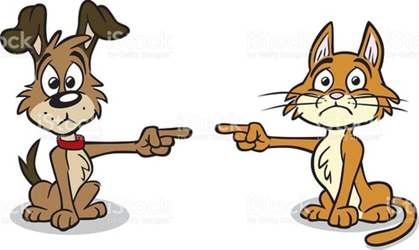 <p>đổ lỗi cho ai vì điều gì</p>