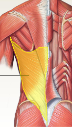 <p>What is highkighted</p>