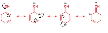 <p>They show delocalization of electron density from the oxygen atom into the ring, stabilizing the intermediate and highlighting why ortho and para positions are most reactive.</p>