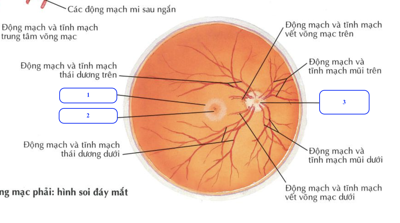 <p>Chi tiết số 1 là gì ?</p><p>Chi tiết số 2 là gì ?</p><p>Chi tiết số 3 là gì ? </p>