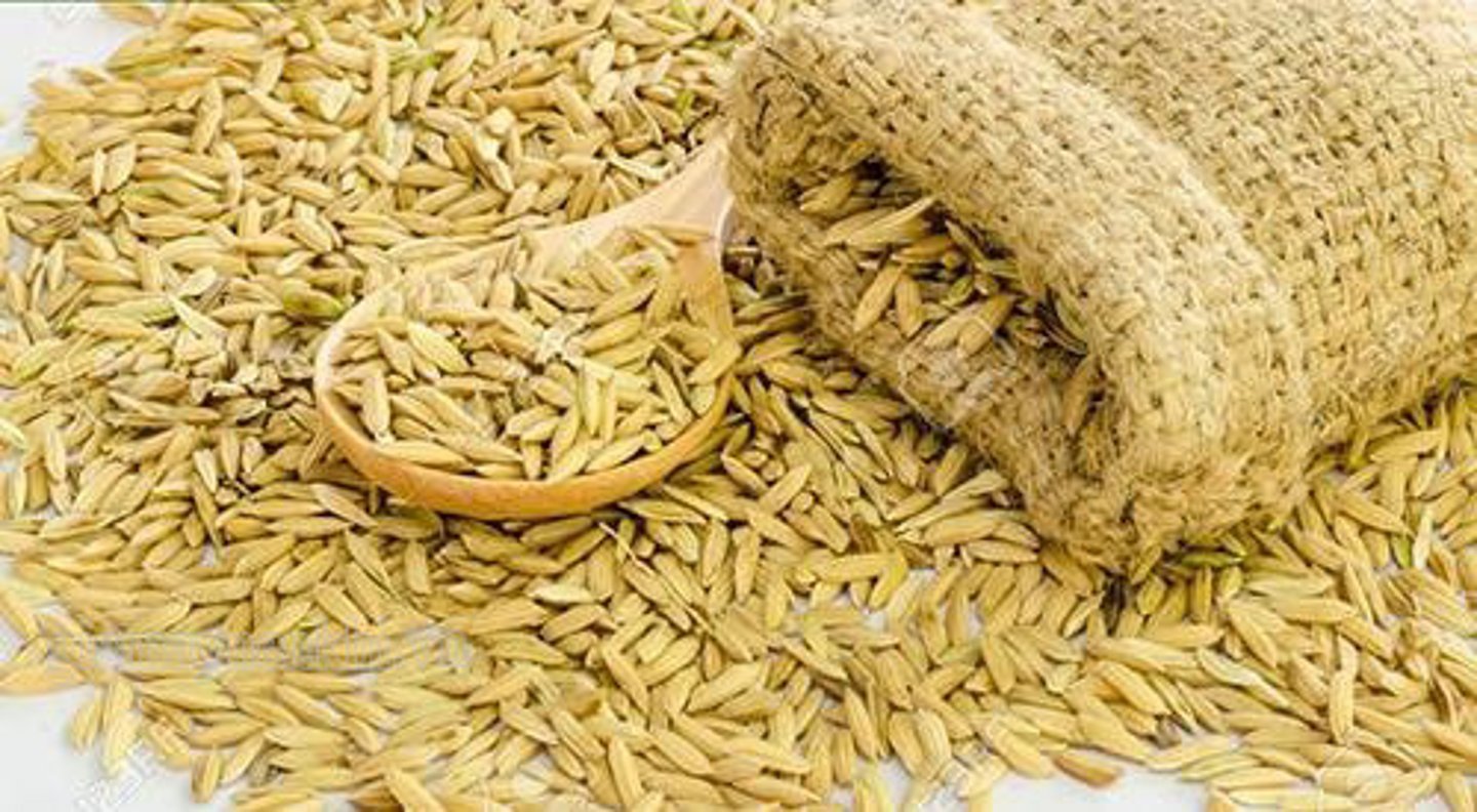 <p>/bɑːrn/ Kho thóc</p>