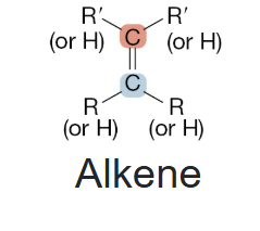<p>Alkene</p>