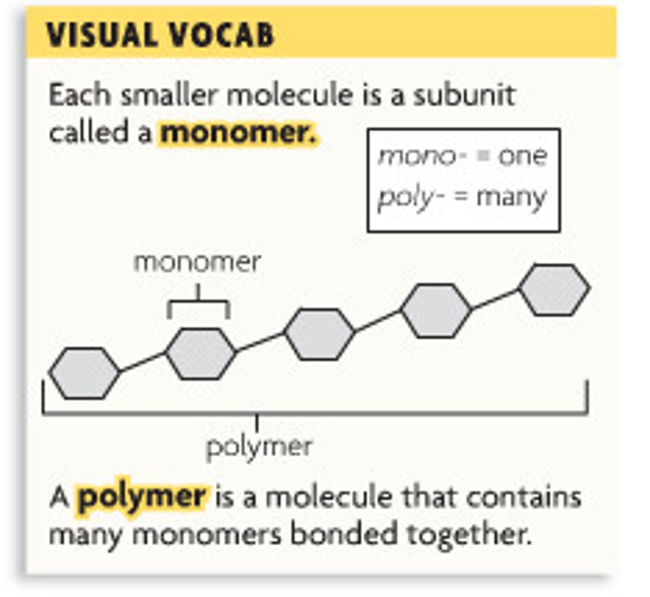 <p>molecules composed of many monomers; makes up macromolecules (carbohydrates, lipids and proteins can be polymers)</p>
