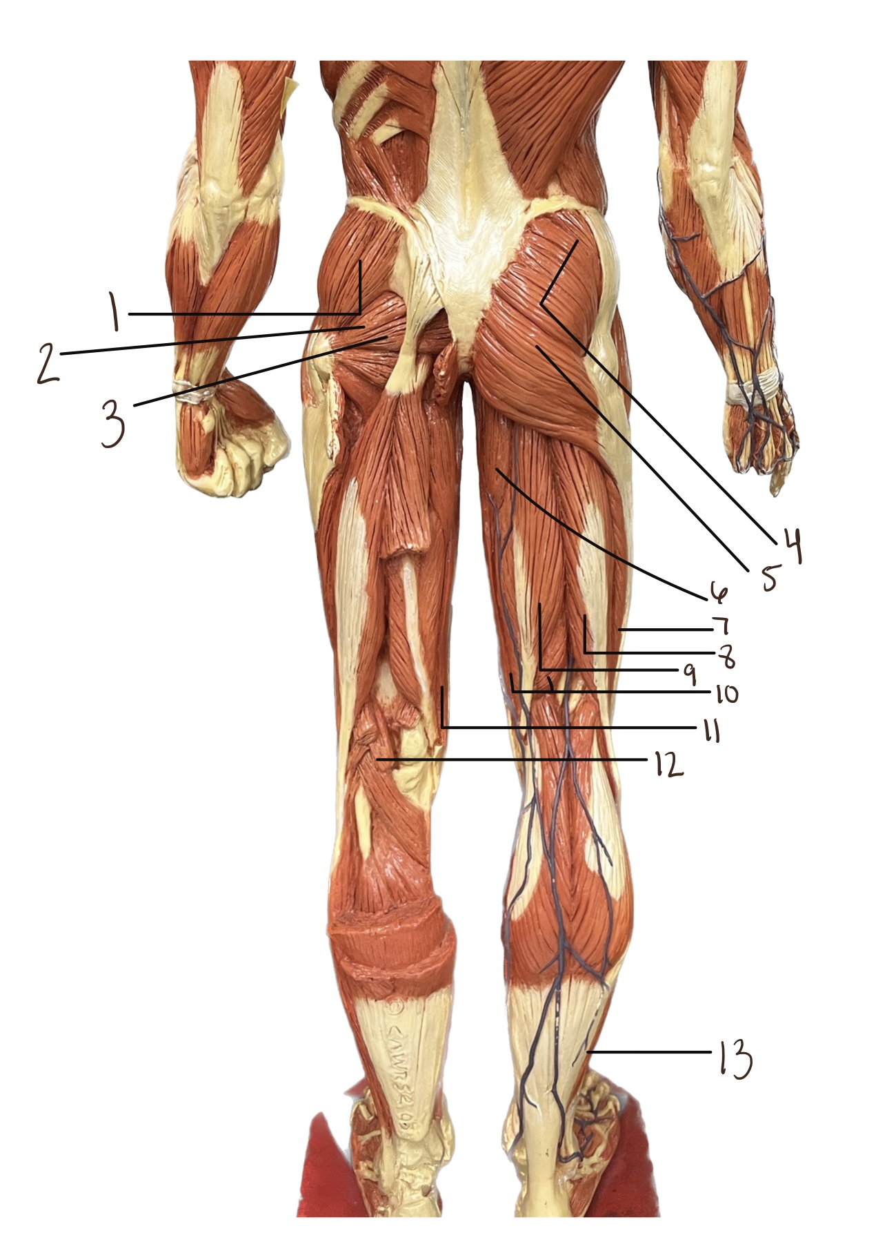 <p>2</p>