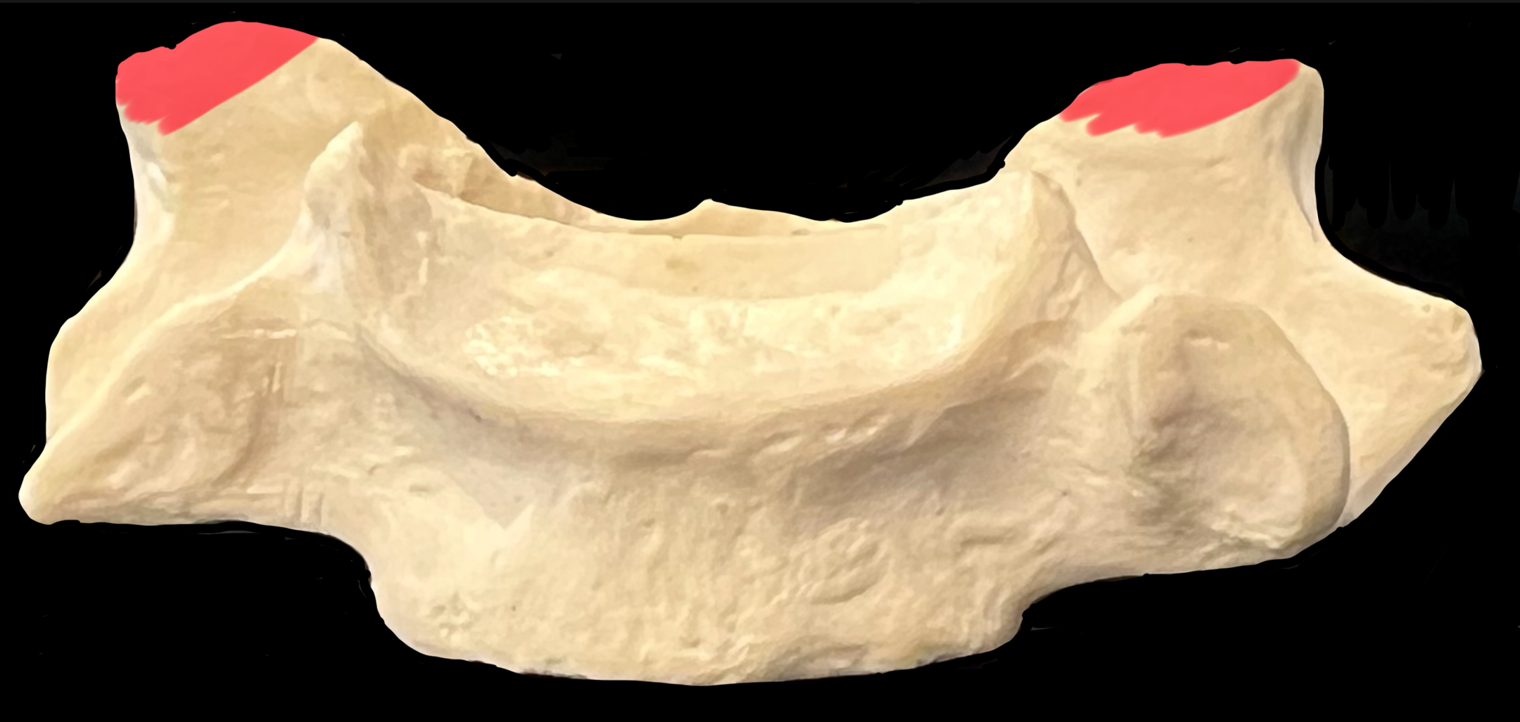 What is highlighted in red?