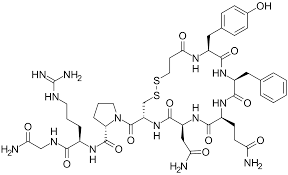 <p>What Transporters does this drug taken up</p>