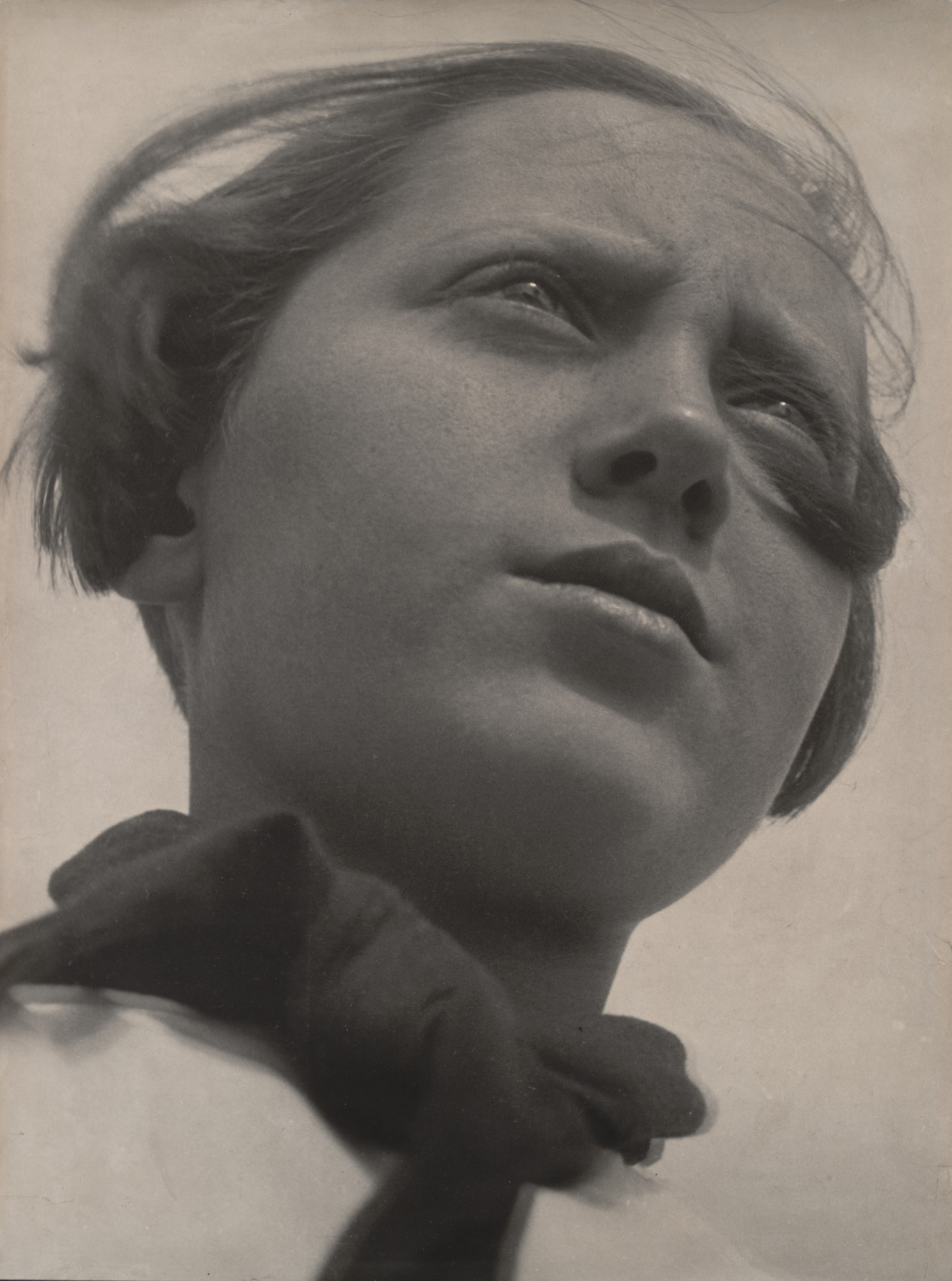 term image