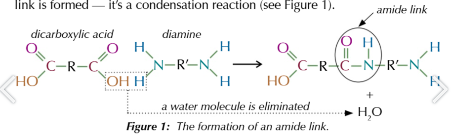 <p>polyamides + H2O</p>