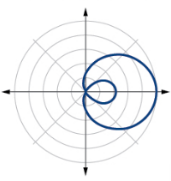 Which polar graph is this?

\
