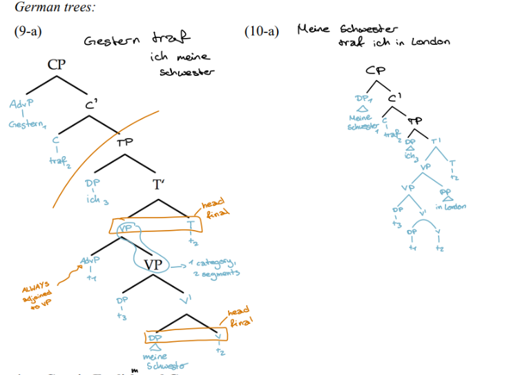 <p>Word orders differ in main clauses (germna is assymetric V2 language)</p><p>E: subject must precede the finite Verb</p><p>D: finite verb must be in second position</p><p>technical implementation: </p><p>X’ theory: verb mvt to C (via T); first constituent moves to Spec</p><p>P&amp;P theory: V2 parameter holds in G but not E</p><p></p>