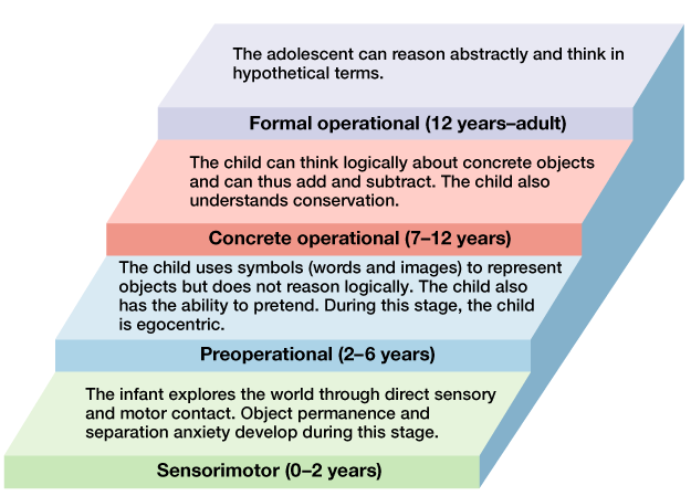 <p>Piaget believed that children construct their understanding of the world while interacting with it. Their minds experience spurts of change, followed by greater stability as they move from one cognitive plateau to the next, each with distinctive characteristics that permit specific kinds of thinking. In Piaget’s view, cognitive development consisted of four major stages—sensorimotor, preoperational, concrete operational, and formal operational.</p><p></p><table><tbody><tr><th colspan="1" rowspan="1"><p>Age Range</p></th><th colspan="1" rowspan="1"><p>Stages</p></th><th colspan="1" rowspan="1"><p>Key Milestones</p></th></tr><tr><td colspan="1" rowspan="1"><p>Birth to</p><p>nearly 2</p><p>years</p></td><td colspan="1" rowspan="1"><p><em>Sensorimotor</em></p><p>Experiencing the world through senses and</p><p>actions (looking, hearing, touching, mouthing,</p><p>and grasping)</p></td><td colspan="1" rowspan="1"><ul><li><p>Object</p><p>permanence</p></li><li><p>Stranger</p><p>anxiety</p></li></ul></td></tr><tr><td colspan="1" rowspan="1"><p>About 2</p><p>to 6 or 7</p><p>years</p></td><td colspan="1" rowspan="1"><p><em>Preoperational</em></p><p>Representing things with words and images;</p><p>using intuitive rather than logical reasoning</p></td><td colspan="1" rowspan="1"><ul><li><p>Pretend play</p></li><li><p>Egocentrism</p></li></ul></td></tr><tr><td colspan="1" rowspan="1"><p>About 7 to 11 years</p></td><td colspan="1" rowspan="1"><p><em>Concrete operational</em></p><p>Thinking logically about concrete events;</p><p>grasping concrete analogies and performing</p><p>arithmetical operations</p></td><td colspan="1" rowspan="1"><ul><li><p>Conservation</p></li><li><p>Mathematical transformations</p></li></ul></td></tr><tr><td colspan="1" rowspan="1"><p>About 12 through adulthood</p></td><td colspan="1" rowspan="1"><p><em>Formal operational </em>Reasoning abstractly</p></td><td colspan="1" rowspan="1"><ul><li><p>Abstract logic</p></li><li><p>Potential for mature moral reasoning</p></li></ul></td></tr></tbody></table>